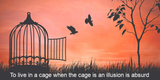 Birds from a cage
